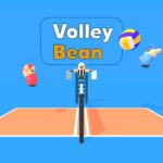 Volley Bean